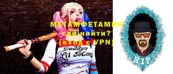 шишки Заволжье