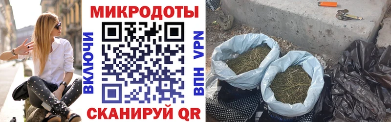 Псилоцибиновые грибы Psilocybe  KRAKEN вход  Харабали 